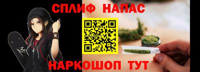 кокс Кингисепп