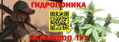 ПСИЛОЦИБИНОВЫЕ ГРИБЫ Кимры