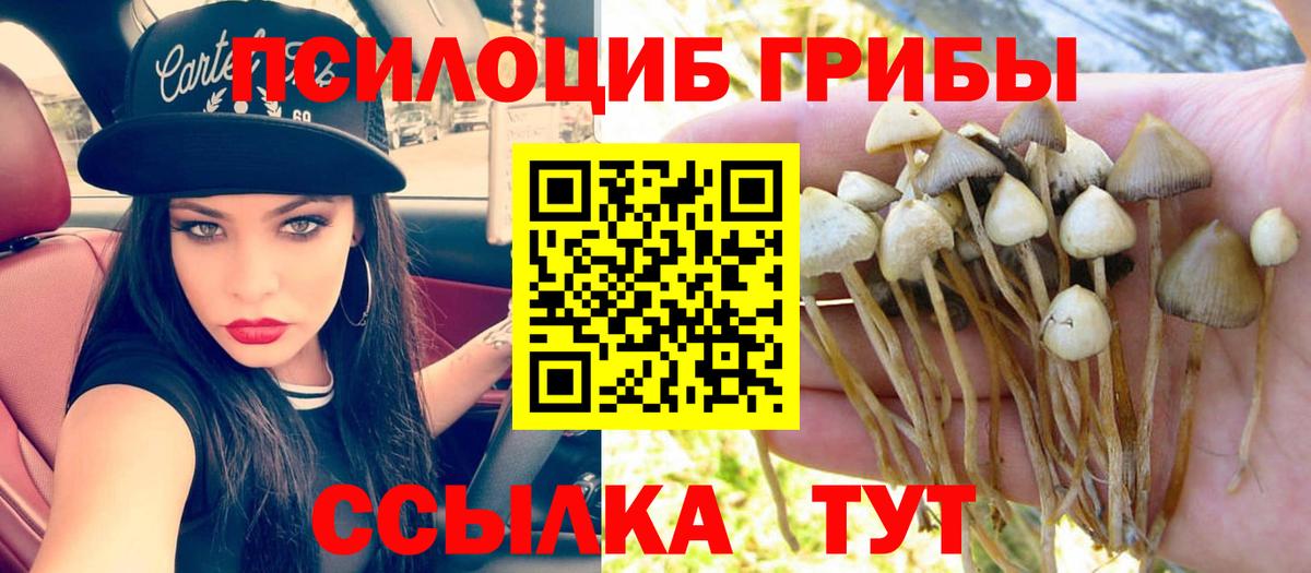 Галлюциногенные грибы мухоморы Екатеринбург
